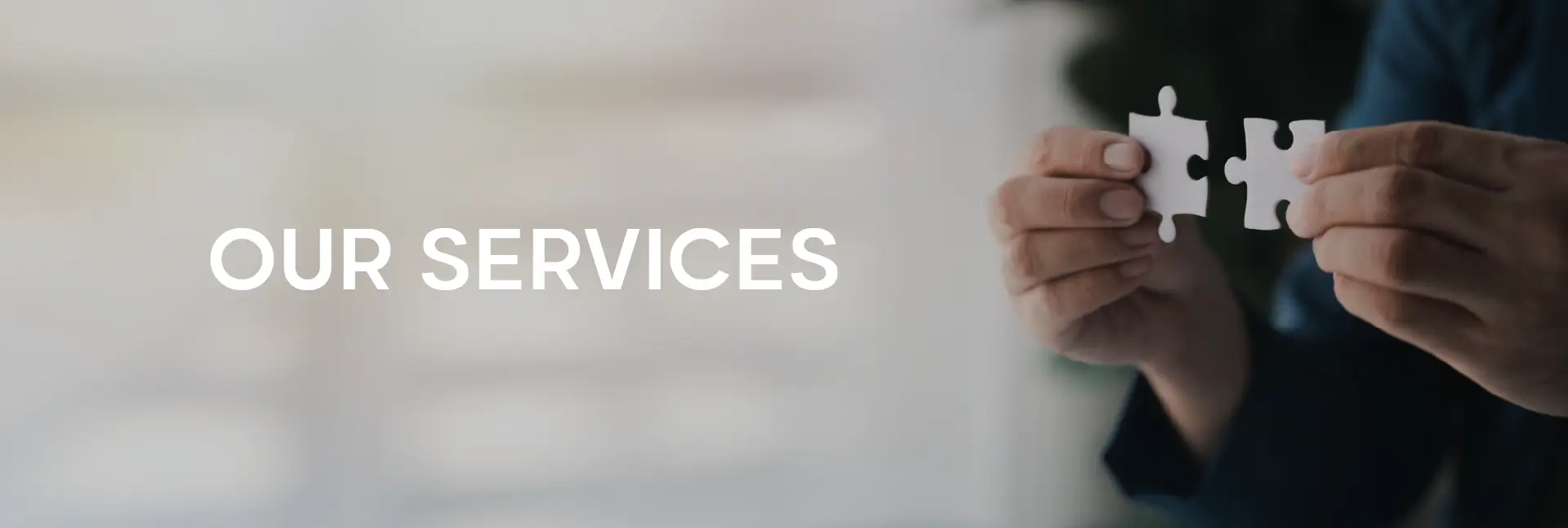 Total Solution Services Inc - Services