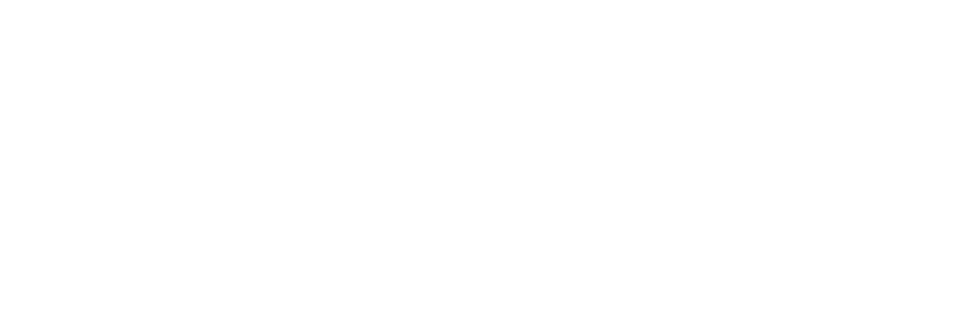 Total Solution Services Inc - white iso