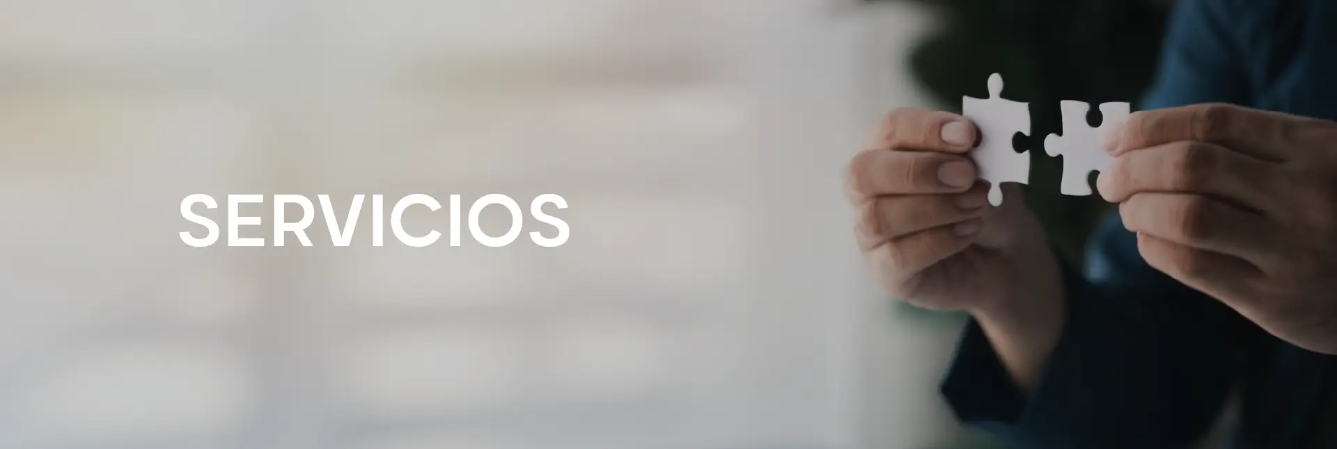 TSS - Servicios