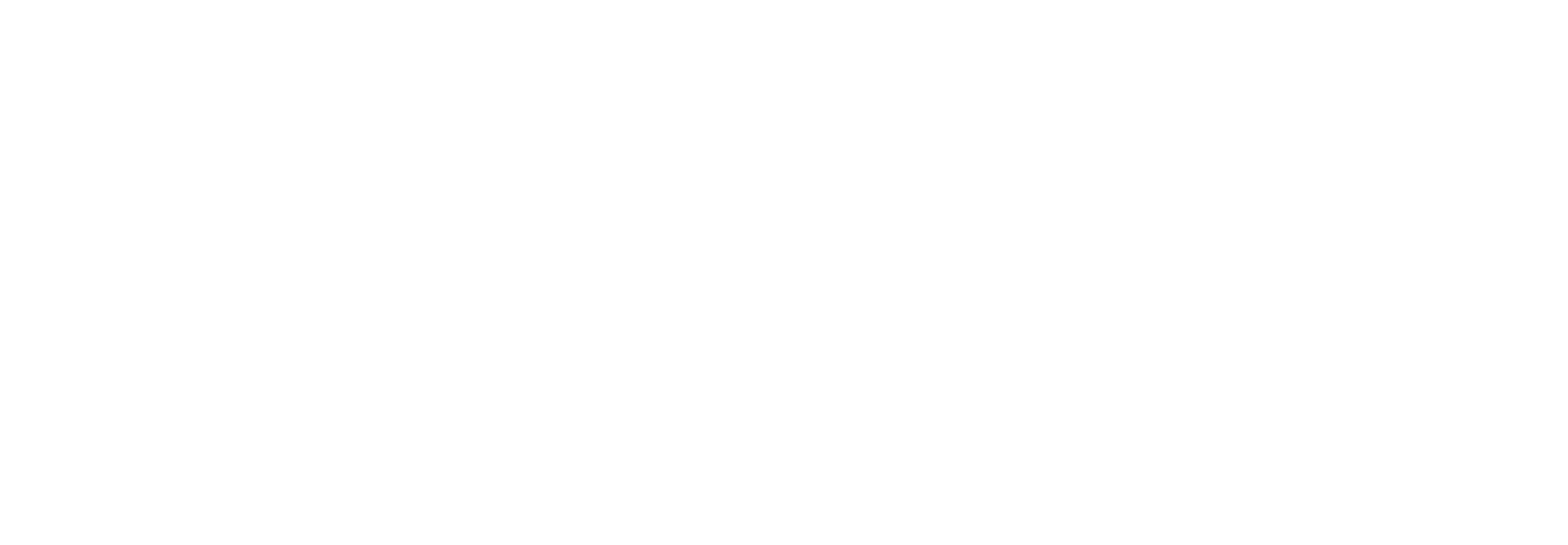 Total Solution Service